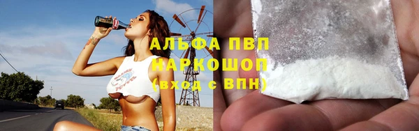 прущие грибы Волосово