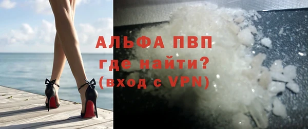 прущие грибы Волосово