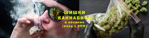 прущие грибы Волосово