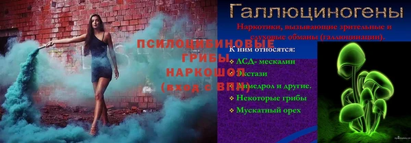 прущие грибы Волосово