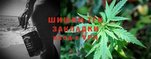 прущие грибы Покачи