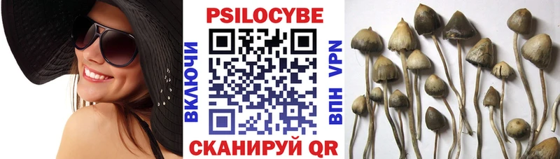 Галлюциногенные грибы Magic Shrooms  mega tor  Данков 